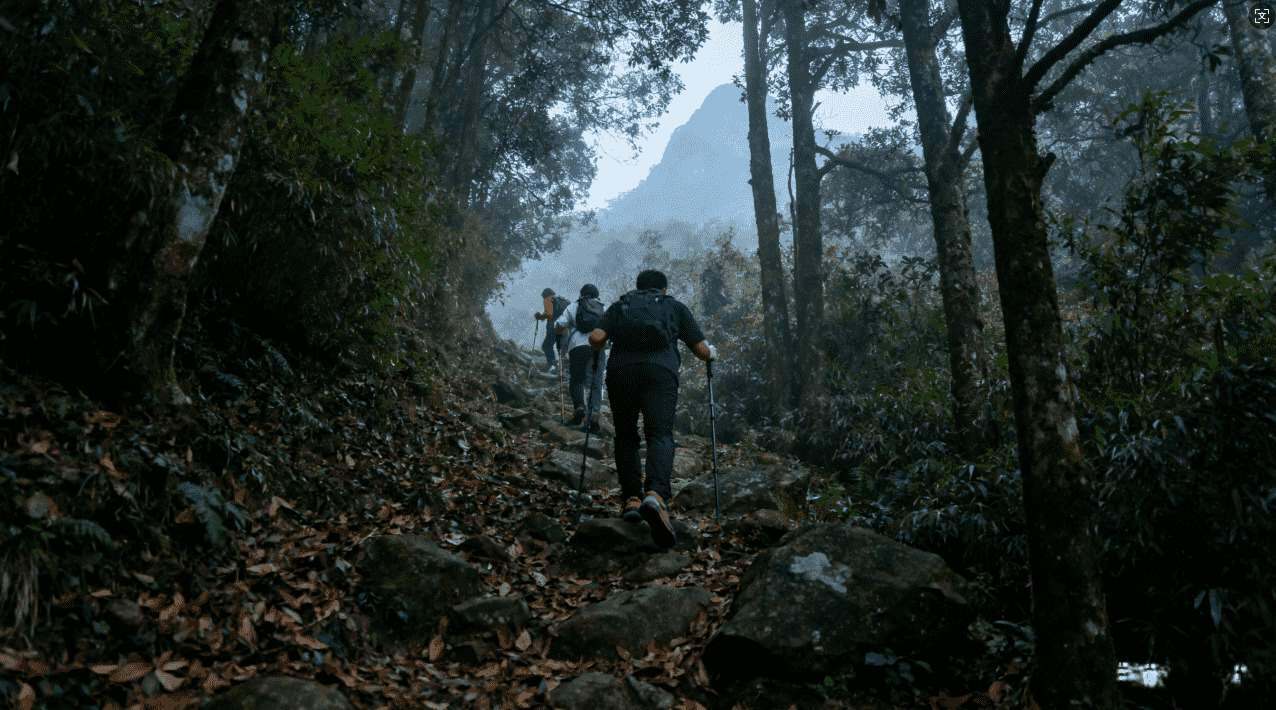 熊猫加速器无法连接VPN的解决方法解析